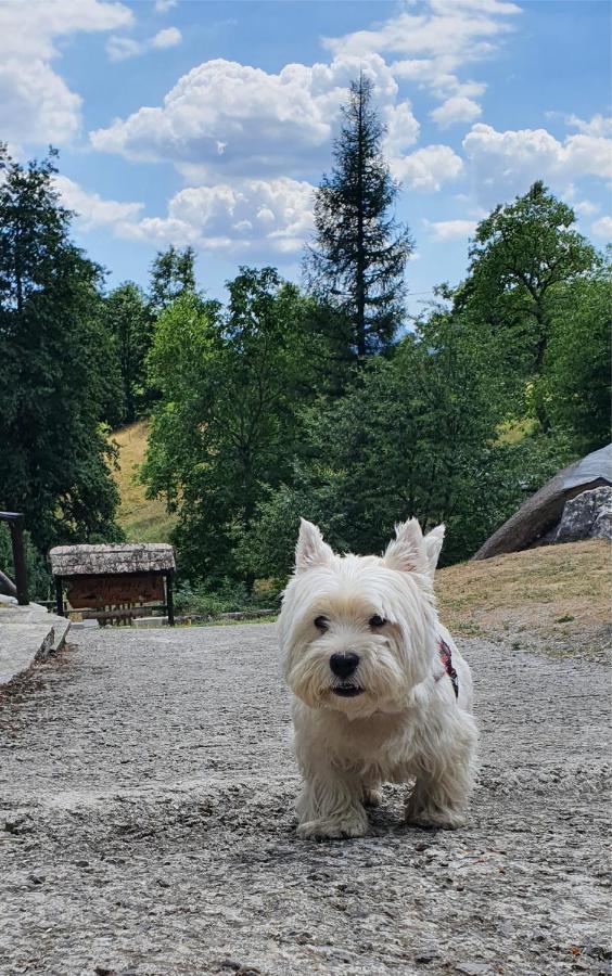 Willa Alpeggio Pruno Corfino Zewnętrze zdjęcie